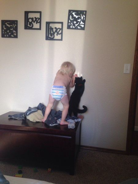 morning picdump 50 pics 7.html - 50 HD Photos | Premium Gallery 2014