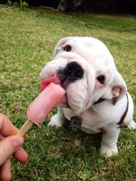 morning picdump 50 pics 7.html - 50 HD Photos | Premium Gallery 2014