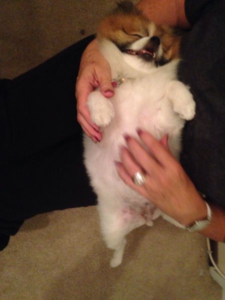 daily picdump 110 pics 43.html - 110 HD Photos | Premium Gallery 2014