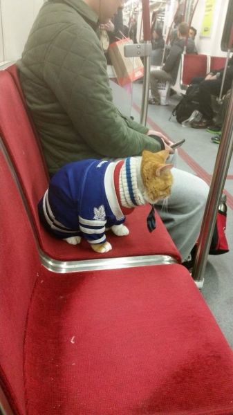 daily picdump 110 pics 43.html - 110 HD Photos | Premium Gallery 2014