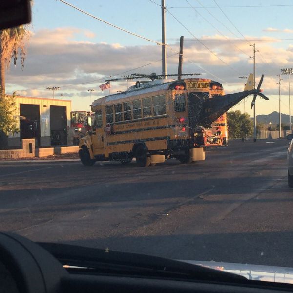 Daily Picdump