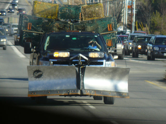 Morning Picdump