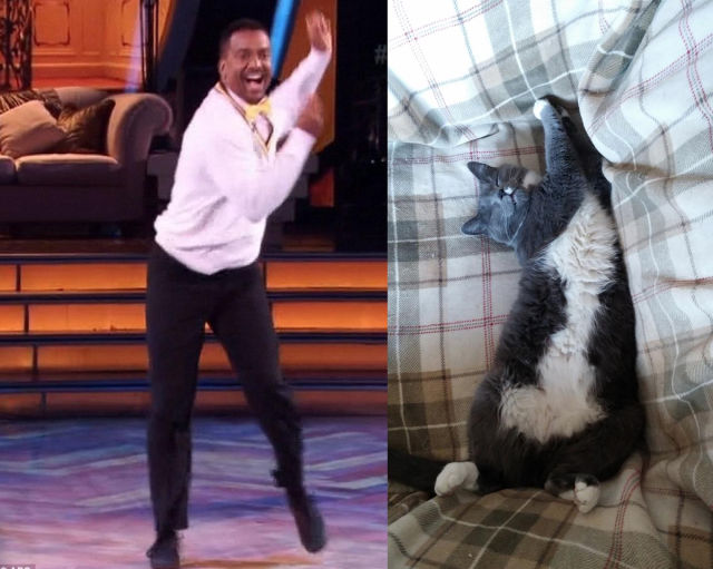 morning picdump 56 pics 5.html - 56 HD Photos | Premium Gallery 2014