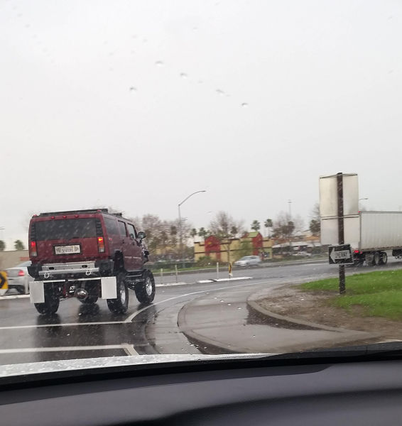 morning picdump 56 pics 5.html - 56 HD Photos | Premium Gallery 2014