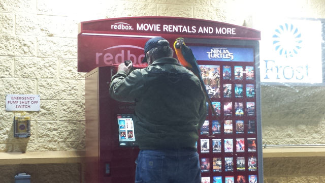 morning picdump 55 pics 1.html - 55 HD Photos | Premium Gallery 2014