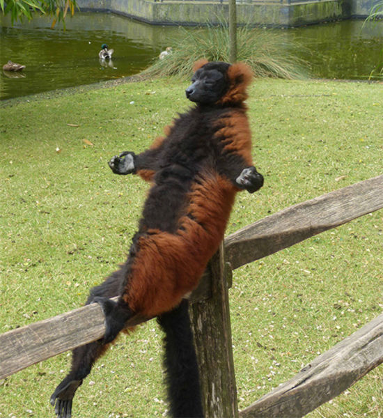 morning picdump 55 pics 1.html - 55 HD Photos | Premium Gallery 2014