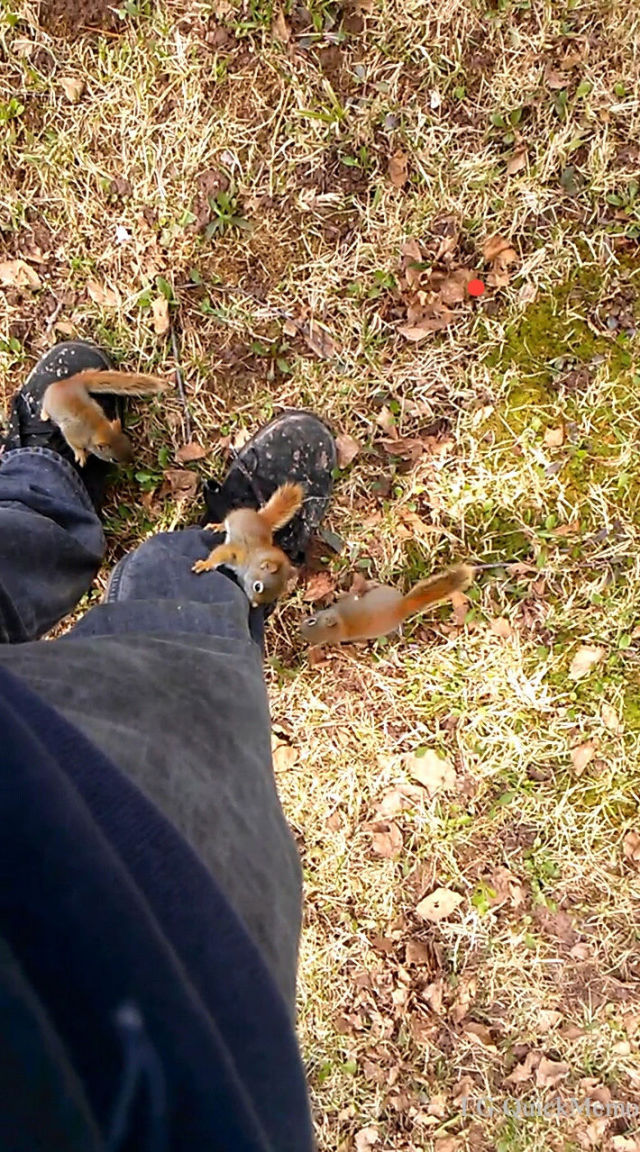 morning picdump 55 pics 1.html - 55 HD Photos | Premium Gallery 2014