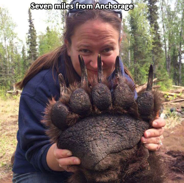 morning picdump 62 pics 40.html - 62 HD Photos | Premium Gallery 2014