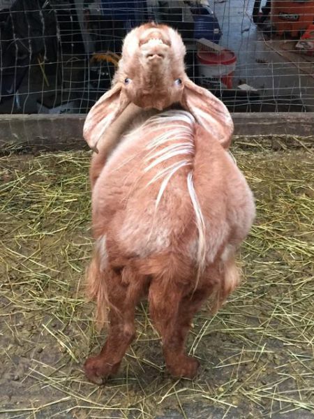 Morning Picdump
