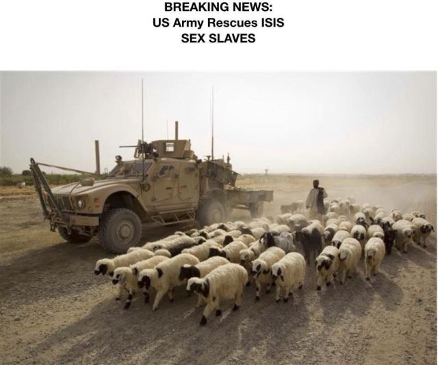 page,9,top 450 funny pics of the year 2015.html - 1 HD Photos | Premium Gallery 2015