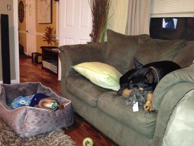morning picdump 54 pics 3.html - 54 HD Photos | Premium Gallery 2015