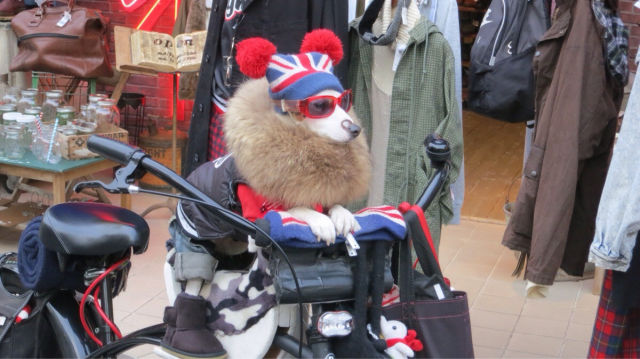 Morning Picdump