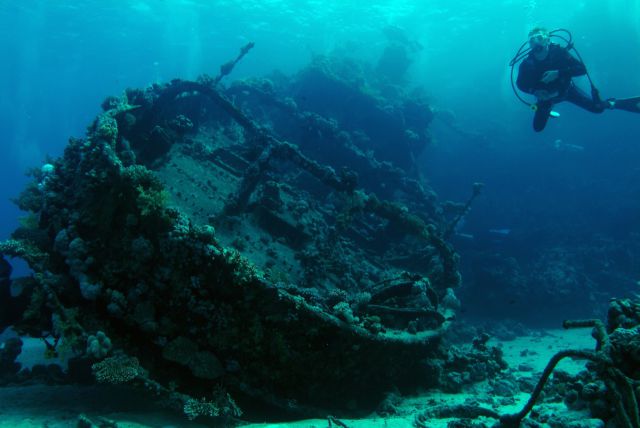 Stuff Just Looks So Much Scarier Underwater
