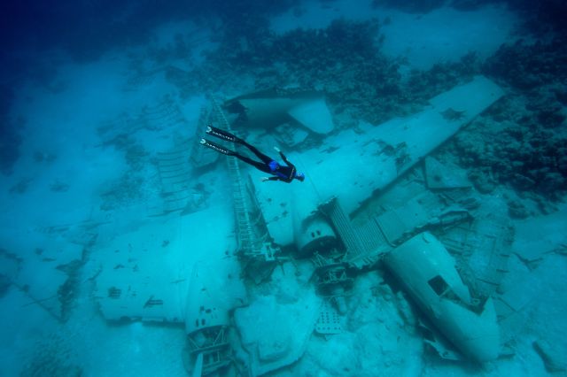 Stuff Just Looks So Much Scarier Underwater