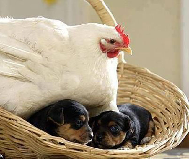 morning picdump 52 pics 2.html - 52 HD Photos | Premium Gallery 2015