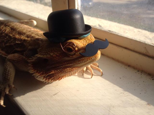 morning picdump 52 pics 2.html - 52 HD Photos | Premium Gallery 2015