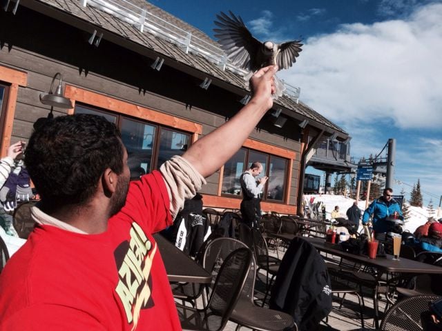 morning picdump 52 pics 2.html - 52 HD Photos | Premium Gallery 2015