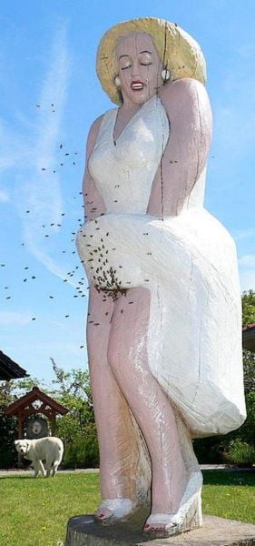 pictures for those with dirty minds 98 pics 38.html - 98 HD Photos | Premium Gallery 2015