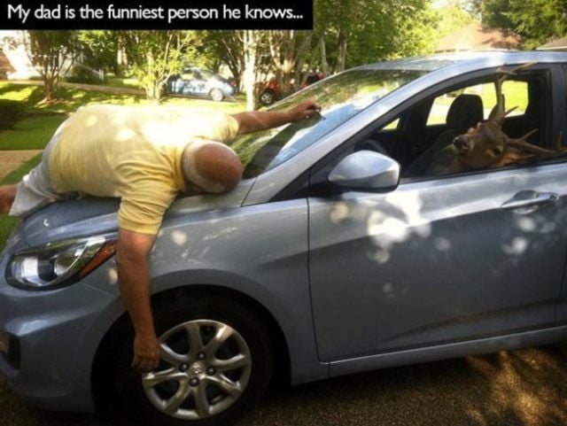 Pranking Parents Are the Best