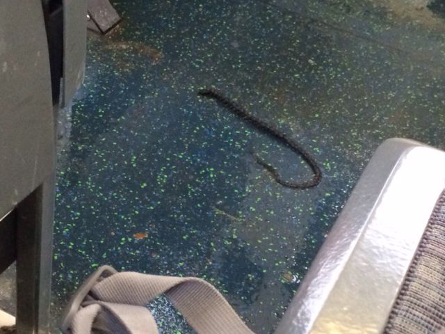 morning picdump 52 pics 2.html - 52 HD Photos | Premium Gallery 2015