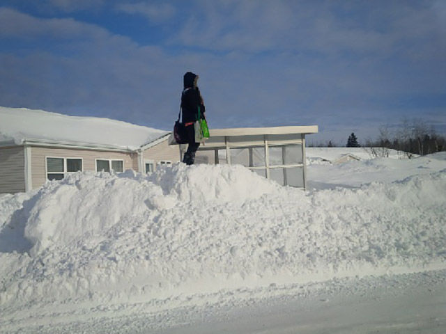 morning picdump 52 pics 2.html - 52 HD Photos | Premium Gallery 2015