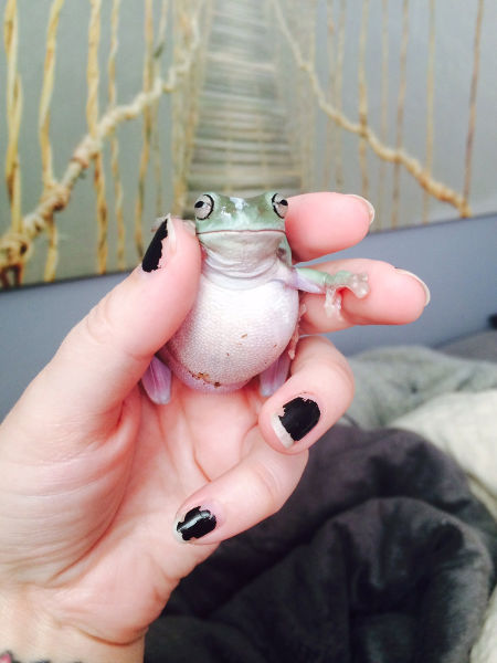 morning picdump 52 pics 9.html - 52 HD Photos | Premium Gallery 2015