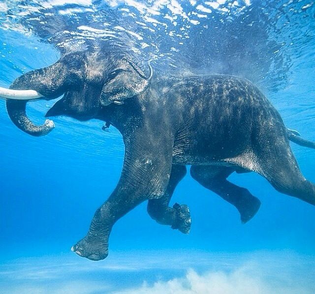 morning picdump 52 pics 9.html - 52 HD Photos | Premium Gallery 2015