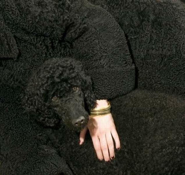 morning picdump 56 pics 28.html - 56 HD Photos | Premium Gallery 2015