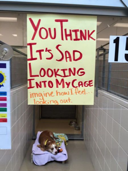 morning picdump 56 pics 28.html - 56 HD Photos | Premium Gallery 2015