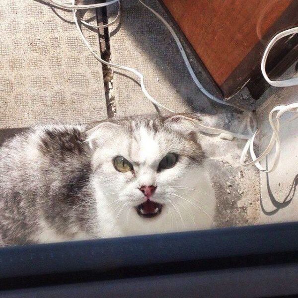 morning picdump 56 pics 28.html - 56 HD Photos | Premium Gallery 2015