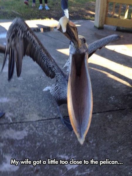 morning picdump 56 pics 28.html - 56 HD Photos | Premium Gallery 2015