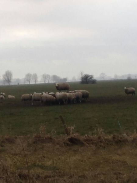 morning picdump 53 pics 1.html - 53 HD Photos | Premium Gallery 2015