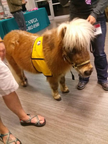 morning picdump 54 pics 8.html - 54 HD Photos | Premium Gallery 2015