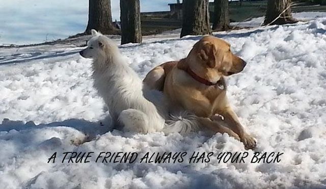 morning picdump 54 pics 8.html - 54 HD Photos | Premium Gallery 2015