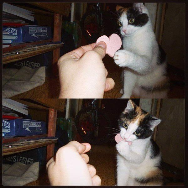 page,34,top 1500 daily pics of the year 2015.html - 1 HD Photos | Premium Gallery 2015