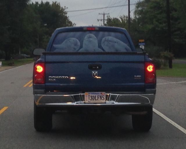 morning picdump 55 pics 9.html - 55 HD Photos | Premium Gallery 2015