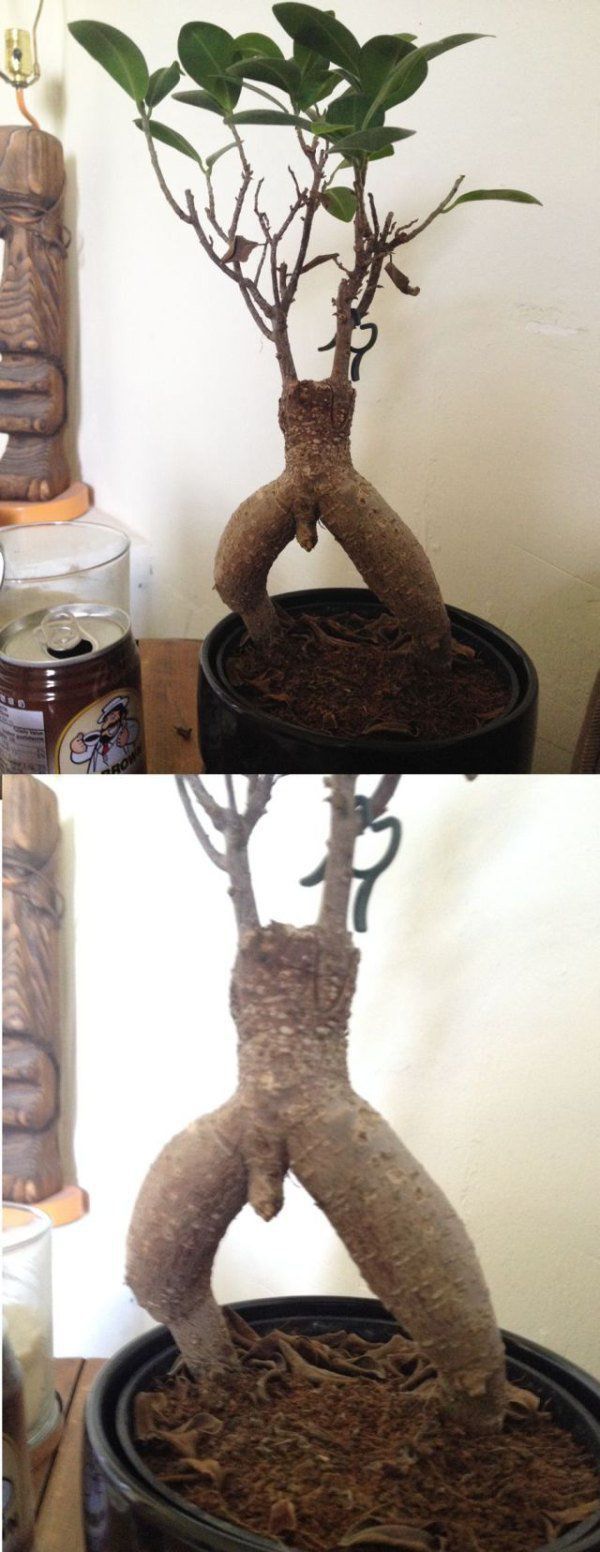 Pictures for Those With Dirty Minds