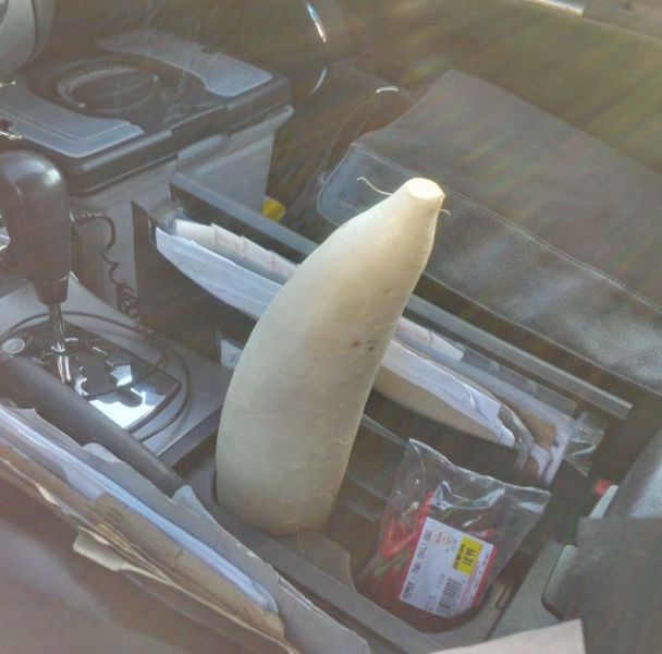 morning picdump 51 pics 5.html - 51 HD Photos | Premium Gallery 2015