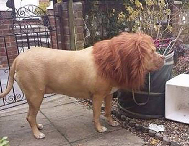 morning picdump 51 pics 5.html - 51 HD Photos | Premium Gallery 2015