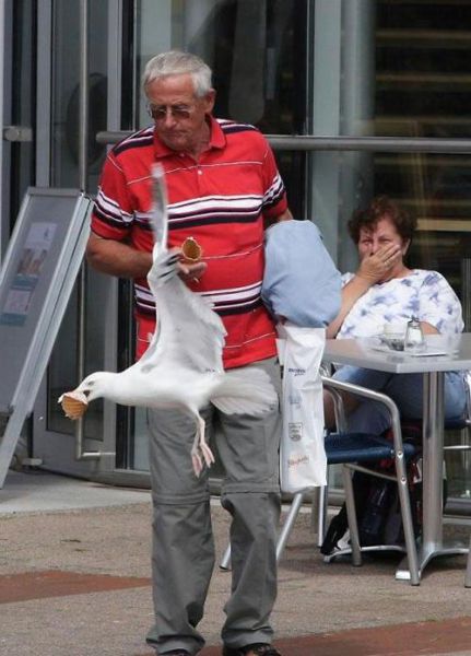 morning picdump 51 pics 5.html - 51 HD Photos | Premium Gallery 2015