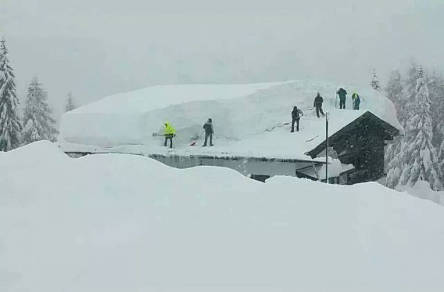 morning picdump 51 pics 5.html - 51 HD Photos | Premium Gallery 2015