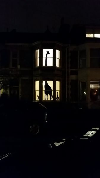 morning picdump 51 pics 5.html - 51 HD Photos | Premium Gallery 2015