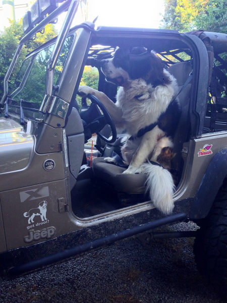 morning picdump 51 pics 5.html - 51 HD Photos | Premium Gallery 2015