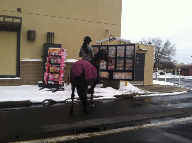 morning picdump 52 pics 9.html - 52 HD Photos | Premium Gallery 2015