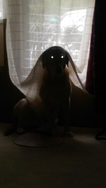 morning picdump 52 pics 9.html - 52 HD Photos | Premium Gallery 2015