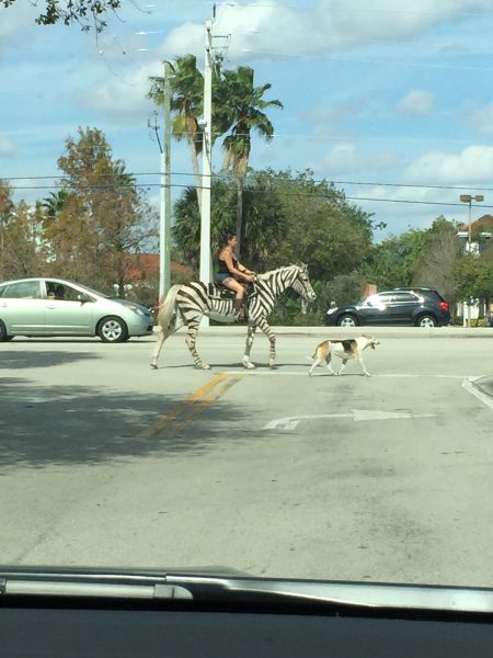 Morning Picdump