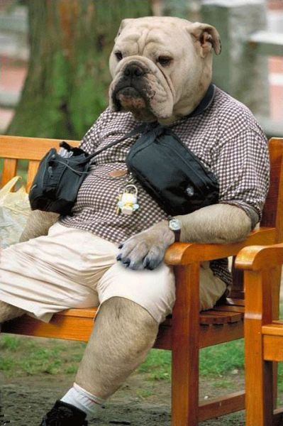 Morning Picdump