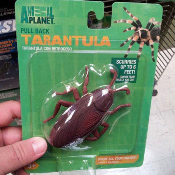 Hell Nope, Not in a Million Years!