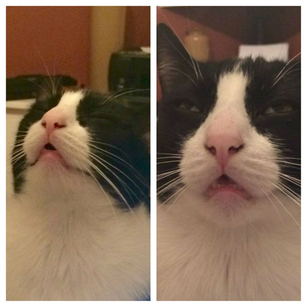 daily picdump 87 pics 1.html - 87 HD Photos | Premium Gallery 2015