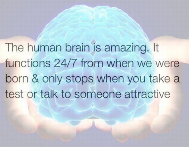 page,4,top 450 funny pics of the year 2015.html - 1 HD Photos | Premium Gallery 2015